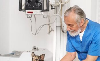 Veterinary Stereotactic Radiosurgery System Market