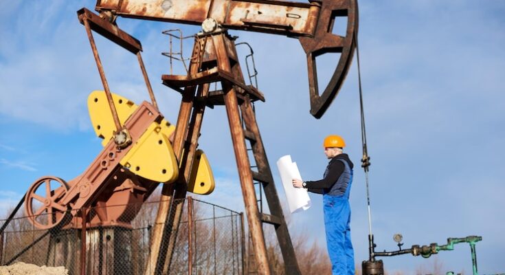 Rotary Drilling Rig Market Size