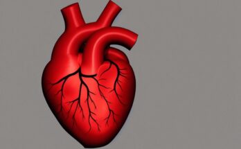 Pediatric Heart Valve Repair And Replacement Global Market