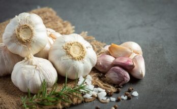 Garlic Market Size