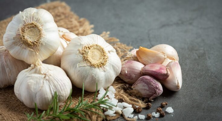 Garlic Market Size