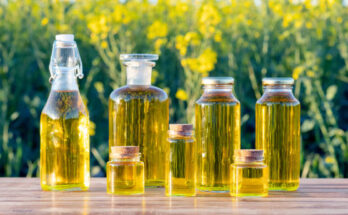 Rapeseed Oil Global Market