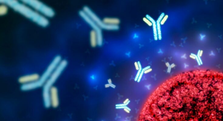 Cancer Monoclonal Antibodies Market