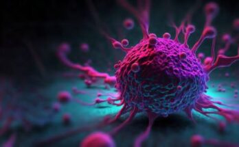 Flow Cytometry In Oncology And Immunology Market Trends, Outlook, Future Forecast To 2033