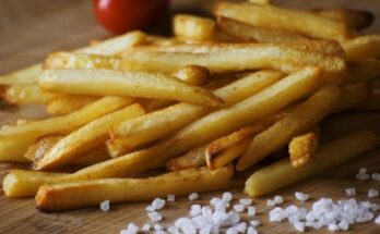 French Fries Market Growth, Share, Trends And Industry Analysis Report 2033