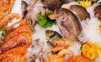 Frozen Seafood Market Size, Share And Growth Analysis Report 2024-2033