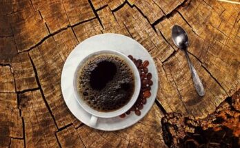 Global kopi luwak coffee market size is expected to reach $9.66 Bn by 2028 at a rate of 5.4%, segmented as by product, raw coffee beans, cooked beans