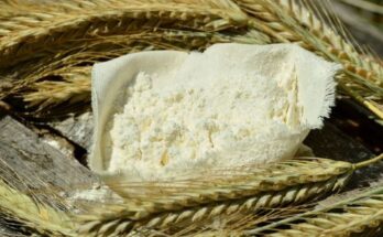 Millet Flour Market Latest Trends, Size, Share, Trends, Outlook By 2033