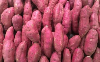 Sweet Potatoes Market Size, Share, Trends Analysis And Forecast Report 2024-2033