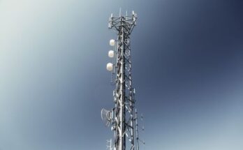 Wireless Telecommunication Carriers Market Share, Growth Insights, Overview 2033