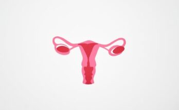 Vaginal Rejuvenation Market