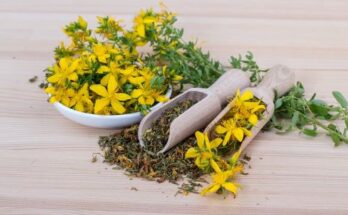 Ayurvedic Herbal Extract Market Growth Report 2024 And Opportunities By 2033