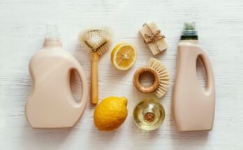 Biodegradable Detergents Market Opportunities, Growth And Outlook By 2033