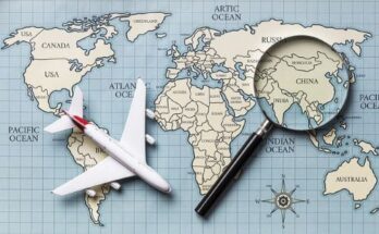 Business Travel Management Service Market Share Report 2024 And Industry Analysis