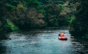 Marine Life Raft