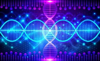 Optical Genome Mapping Market Latest Trends, Size, Share, Trends, Outlook By 2033