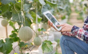 Agriculture Sensor Market Size