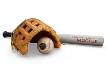 baseball equipment market segments, baseball equipment market forecast, baseball equipment market, baseball equipment market overview, baseball equipment market analysis, , baseball equipment market data, baseball equipment market share, baseball equipment industry, baseball equipment market report