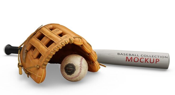 baseball equipment market segments, baseball equipment market forecast, baseball equipment market, baseball equipment market overview, baseball equipment market analysis, , baseball equipment market data, baseball equipment market share, baseball equipment industry, baseball equipment market report