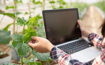 Digital Farming Software Market Report