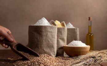 Industrial Starch Market Size, Outlook, Growth And Forecast 2024-2033