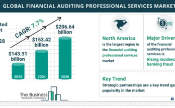 Financial Auditing Professional Services Market