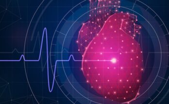 3d cardiac mapping system market size