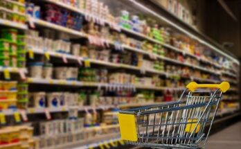 Instant Grocery Market Report 2024 - Instant Grocery Market Size and Growth 2033