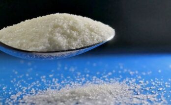 Sodium Chloride Market Report 2024 - Sodium Chloride Market Share and Analysis