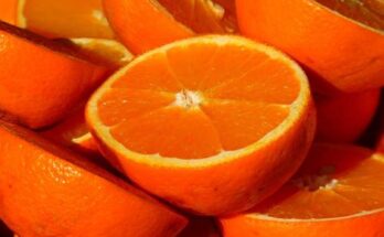 Citrus Concentrate Market Report 2024 - Citrus Concentrate Market Forecast and Trends