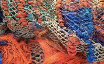 Fishing Net And Aquaculture Cage Market Report 2024 - Fishing Net And Aquaculture Cage Market Share and Outlook 2033