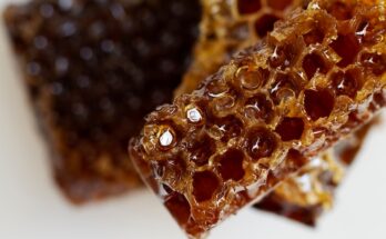 Honeycomb packaging Market Outlook