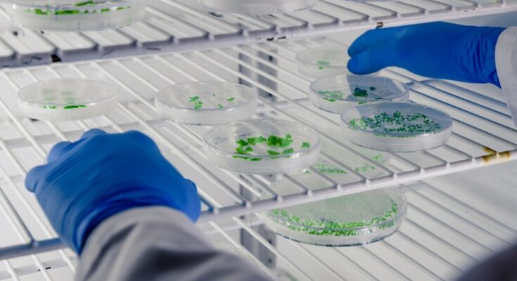 Microbial Fermentation Technology Market Outlook