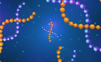 Polymerase Chain Reaction (PCR) Technologies Market Outlook