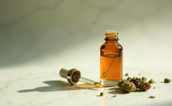 Cannabis Extract