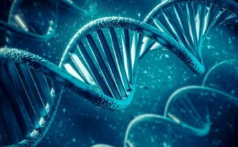 Global Genomics Market Industry Growth Report 2024 And Market Outlook To 2033