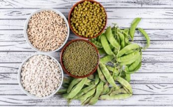 Pea Protein Ingredients Market Report 2024 - Pea Protein Ingredients Marke Size And Outlook By 2033