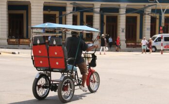 Quadricycle And Tricycle