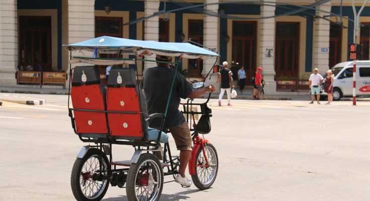 Quadricycle And Tricycle