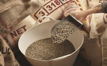 Global Cattle Feed & Feed Additives Market Report 2024 - Cattle Feed & Feed Additives Market Size And Opportunities To 2033