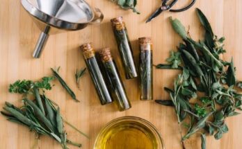 Essential Oils And Plant Extract For Livestock Market Segments, Market Key Players Report 2025- 2034