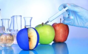 Fruit And Vegetable Processing Enzymes Market Report 2025, Overview And Analysis