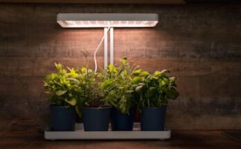 Grow Light Market Report 2025 - Grow Light Market Demand and Insights