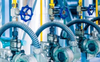 Hygienic Pumps And Valves Market