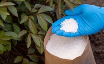 Nitrogenous Fertilizer Market Report 2025- Nitrogenous Fertilizer Market Analysis and Growth