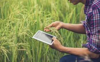 Precision Farming Market Report 2025- Industry Share Analysis And Size 2034