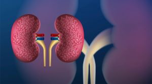 Renal Biomarkers Market Size