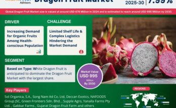 Dragon Fruit Market