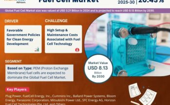 Fuel Cell Market