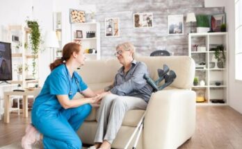 Home Healthcare Market Report 2025 - Home Healthcare Market Size And Share